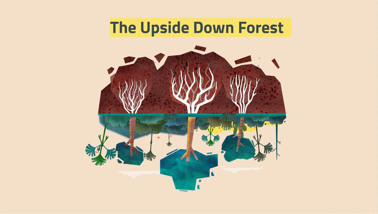 01 The upside down forest .jpg