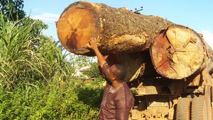 110915 Truck with logs that have no marks parked at the road side, waiting to be transported in the night[16x9].jpg