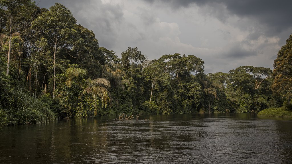 Oil rights threatening DRC's Salonga National Park could be null and