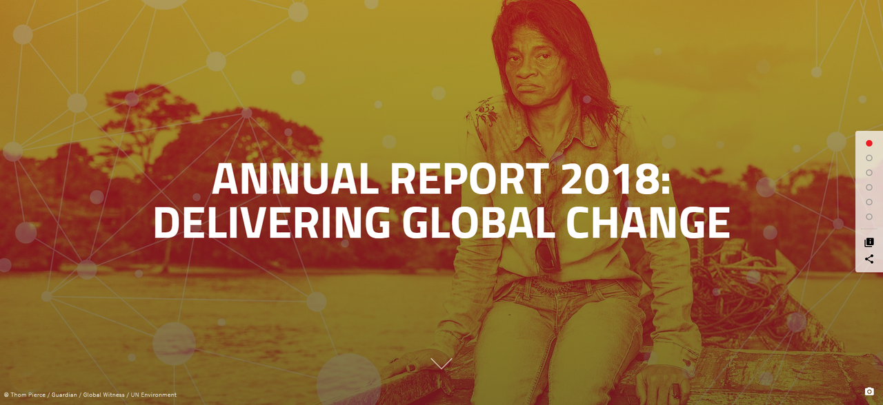 Annual report 2018 screengrab