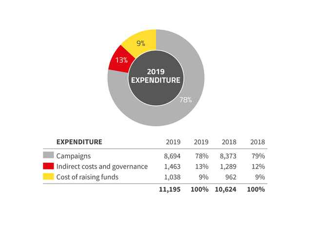 2019 Annual report expenditure