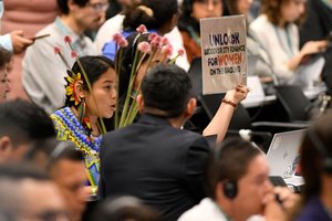 A representative of the Colombian indigenous women communities at COP16.jpg