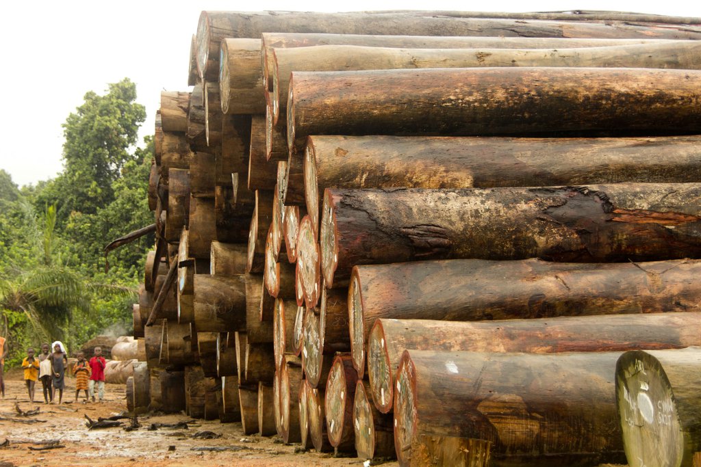 Timber baron sentenced to 19 years for war crimes and arms smuggling