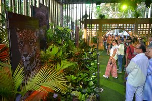 COP16 Peace With Nature - Day 2.jpg