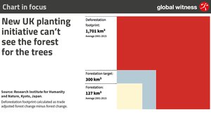 Chart in focus deforestation footprint banner