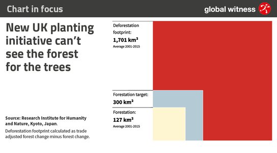 Chart in focus deforestation footprint banner