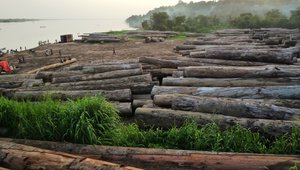 DRC logging report 1