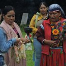 CEMDA - Mexican defenders