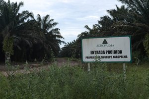 Agropalma no trespass, Para, Brazil 2022