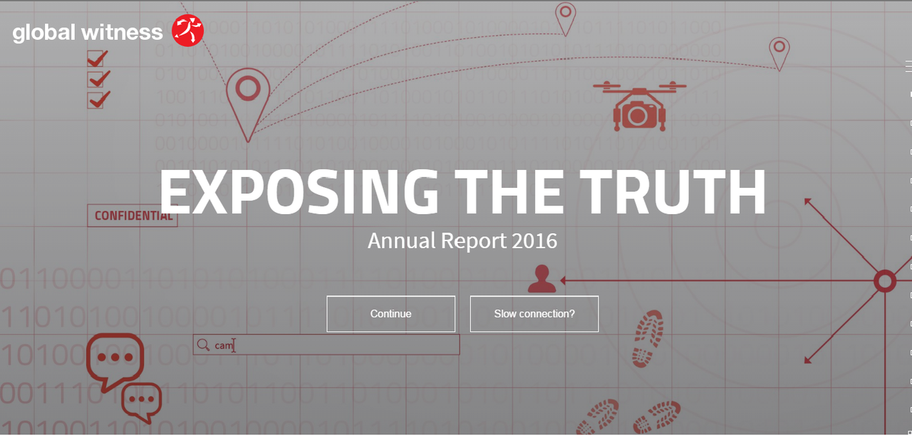 Annual Review Screenshot 2