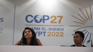 Shruti at COP27 side event, 2022