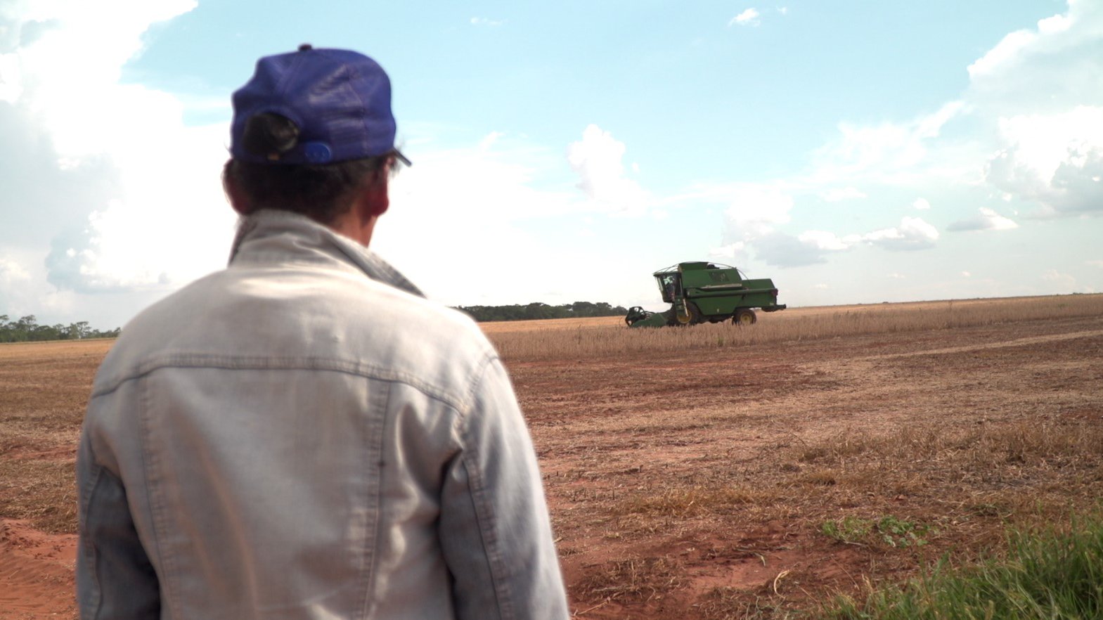 Francisca Portillo watching machines at work on her land