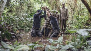 Scientists in Congo basin peatlands