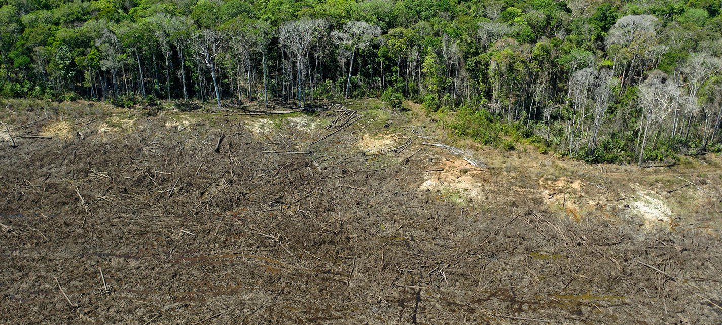 Brazil Environment Deforestation