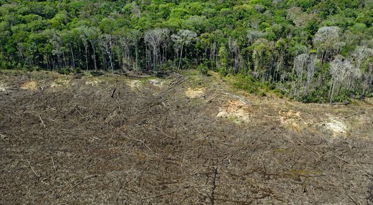 Brazil Environment Deforestation