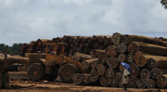 Logging in Liberia 2012