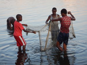 Honduras sea community.JPG