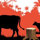 JBS twitterbot_listing