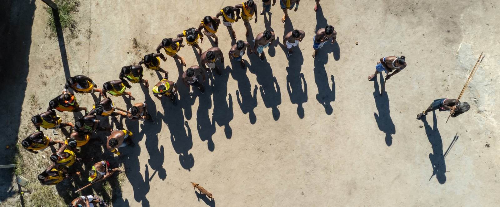 Standing Firm: The Land And Environmental Defenders On The Frontlines ...