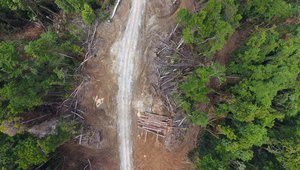 巴布亚新几内亚东新不列颠省的砍伐道路
