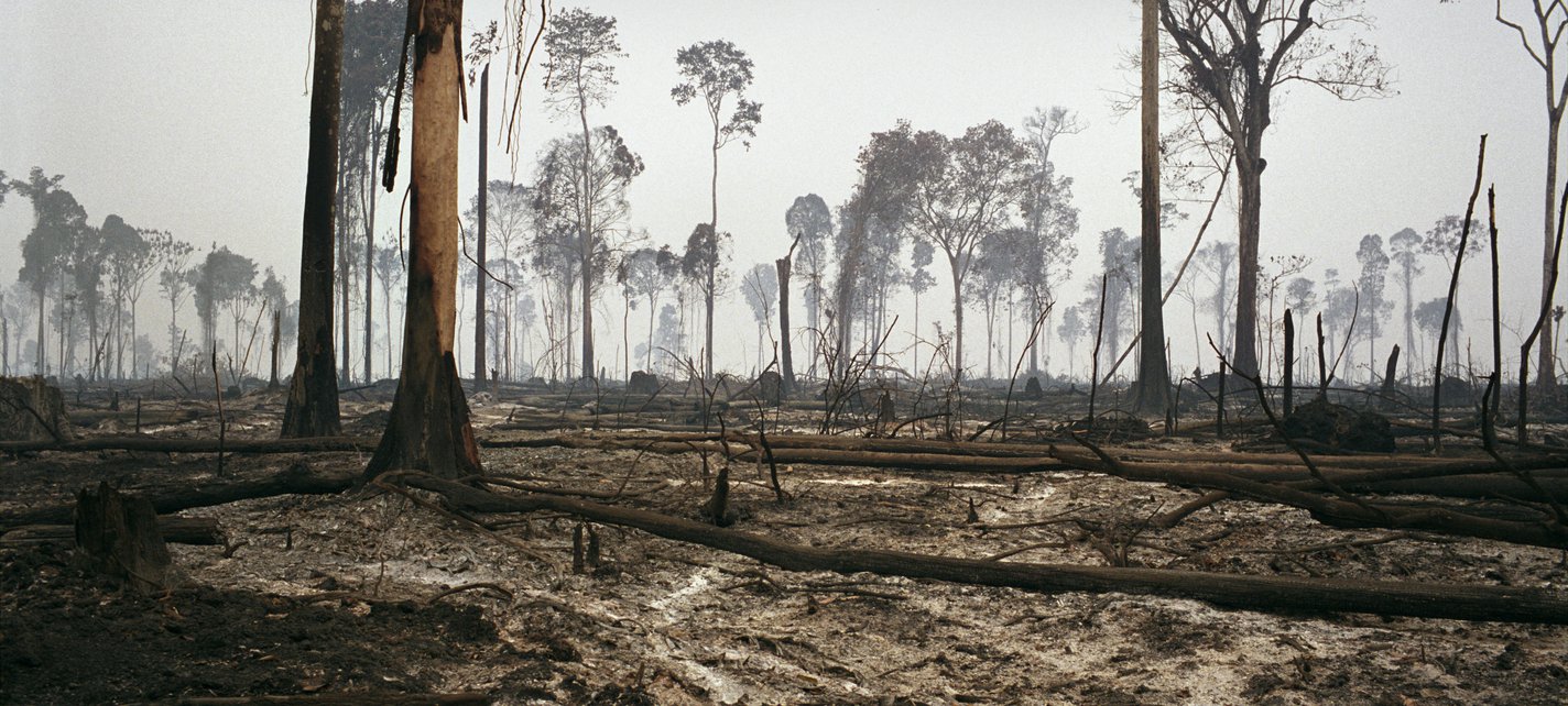 Deforestation Brazil