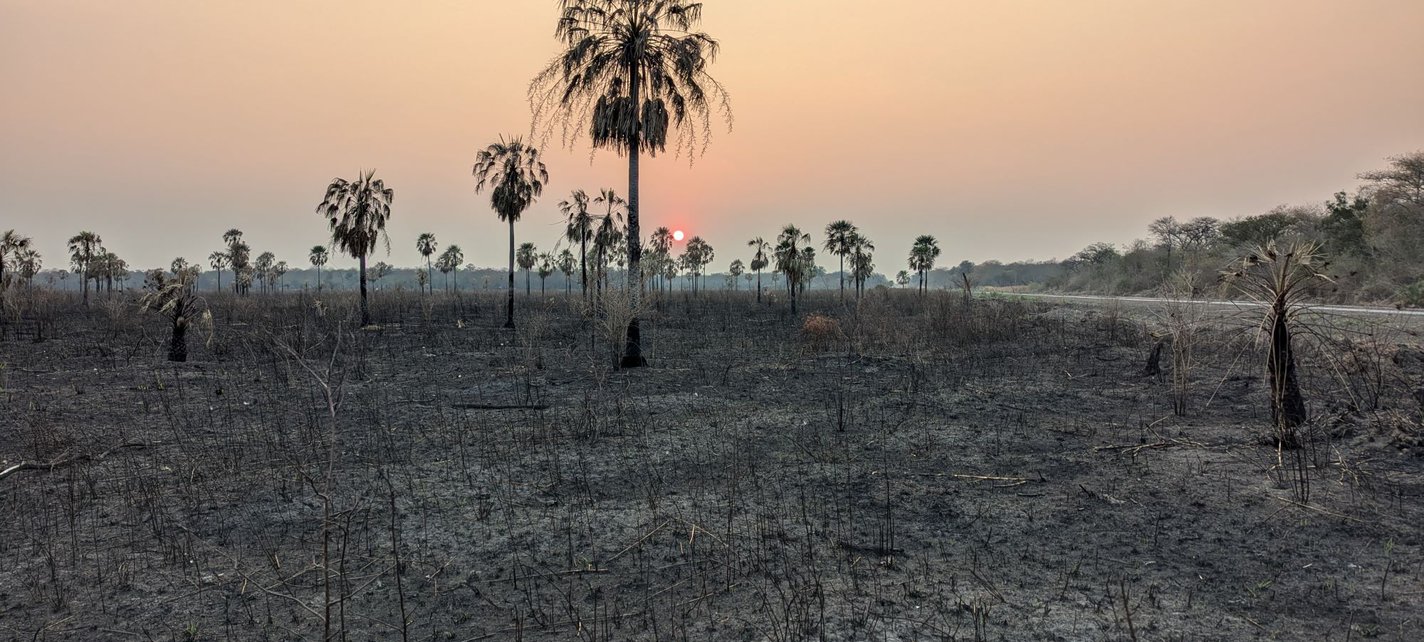 Paraguay Deforestation Covershot.jpg