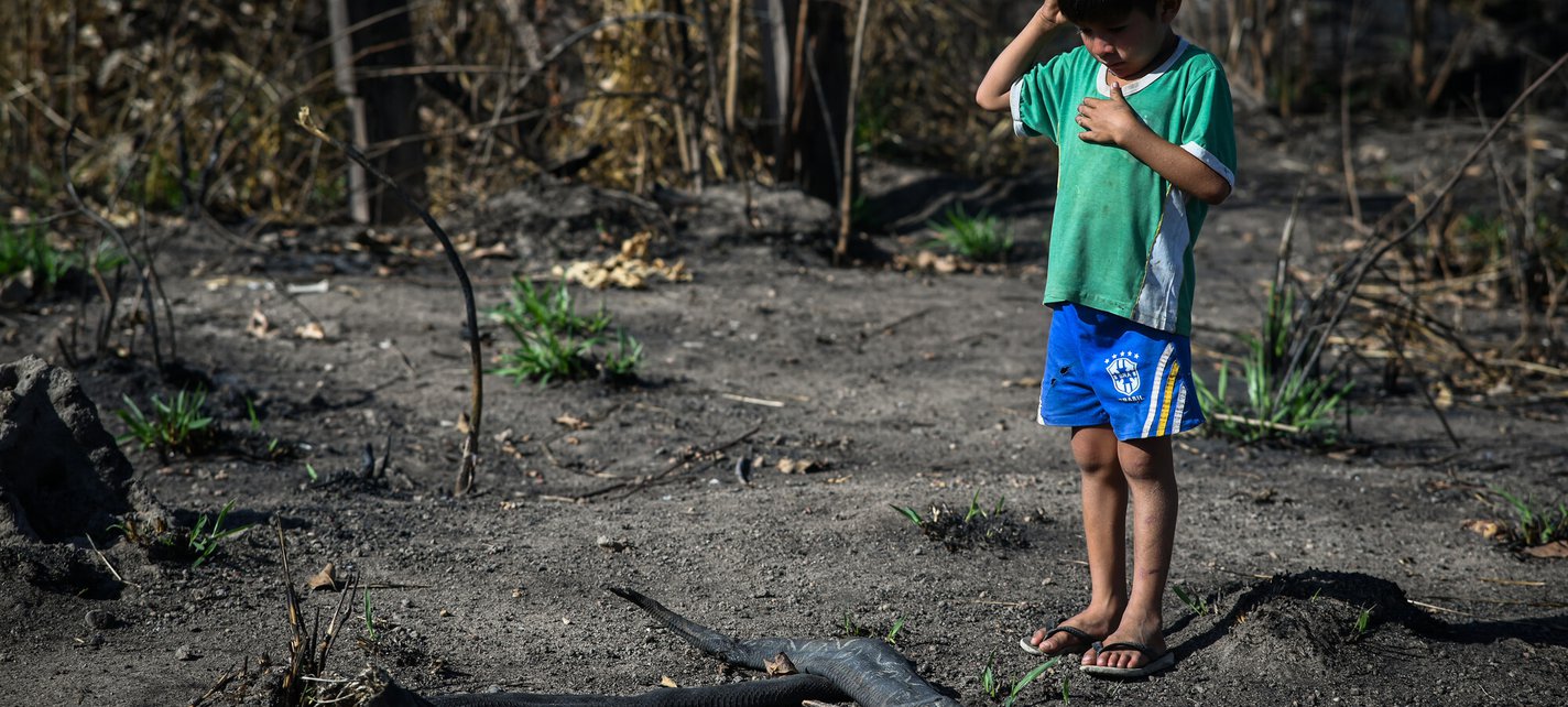 Parakana boy and deforestation fire remains.jpg