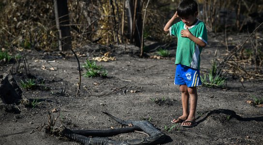 Parakana boy and deforestation fire remains.jpg