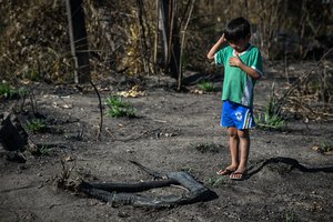 Parakana boy and deforestation fire remains.jpg