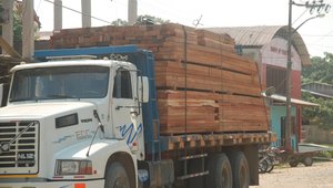 Peru Timber Truck