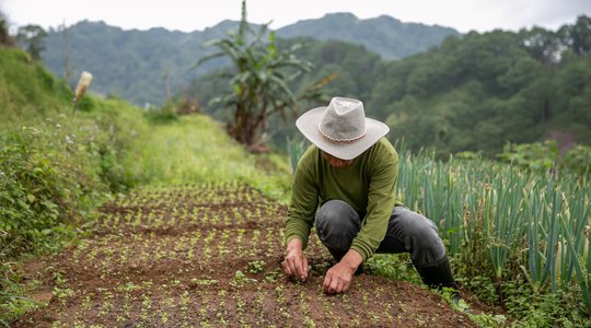 Philippines farms loss and damage.jpg