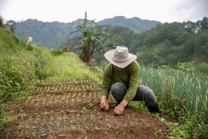 Philippines farms loss and damage.jpg