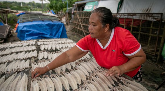 Philippines fisherfolk loss and damage.jpg