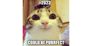 Purrfect Kitten meme