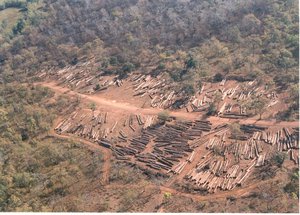 RS2142_Cambodia, log depot_airview.JPG