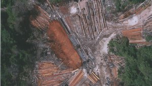 Deforestation in Cambodia