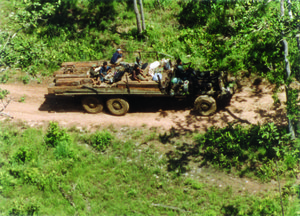 Truck with illegal timber, Cambodia