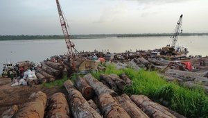 DRC logging