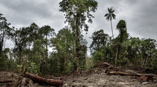 Logging operation in PNG