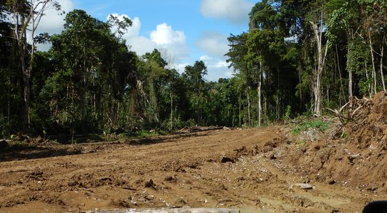 Logging in East Sepik Province, PNG