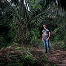 RS5939_Ramon Bedoya in the palm oil plantation behind his family's farm - Pedeguita y Mancilla, Coco, Colombia - 17th April 2018 copy_RGB-lpr.jpg