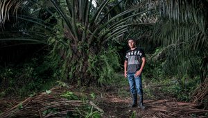 RS5939_Ramon Bedoya in the palm oil plantation behind his family's farm - Pedeguita y Mancilla, Coco, Colombia - 17th April 2018 copy_RGB-lpr.jpg