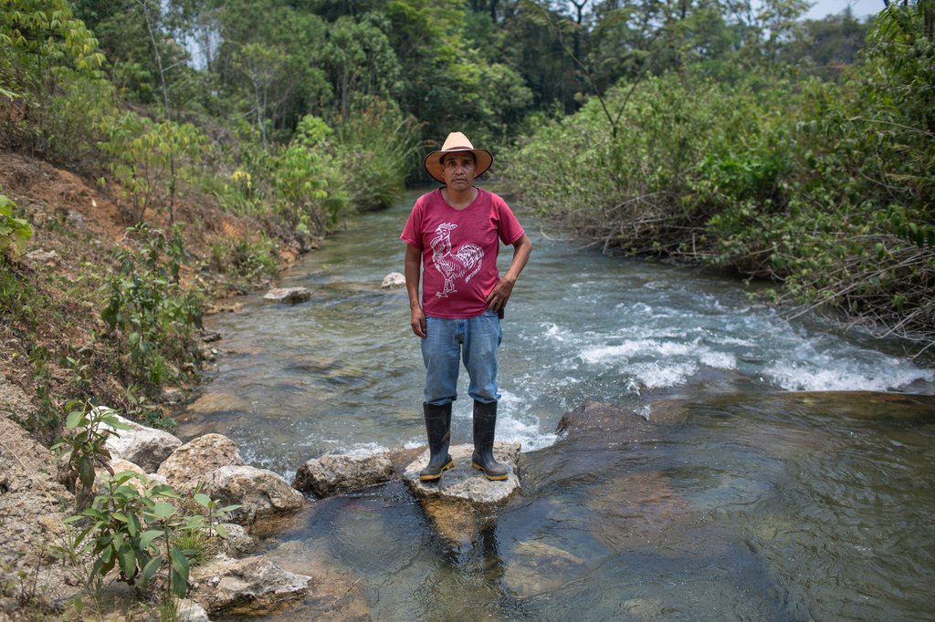 Be Inspired By Land And Environmental Defenders On World Photography ...