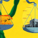 Climate truths video still 1