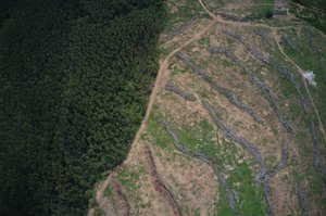 Deforestation in the region of Marabá, Pará State, Brazil