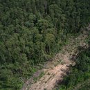 Still arial image of deforestation in the region of Marabá, Pará State, Brazil.