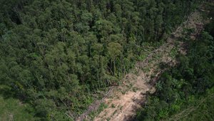 Still arial image of deforestation in the region of Marabá, Pará State, Brazil.