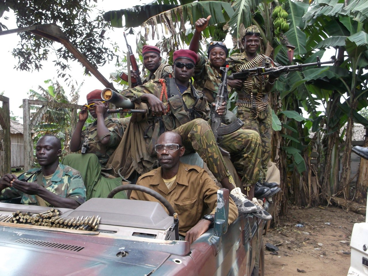 Blood Timber The Case Of Central African Republic Global Witness