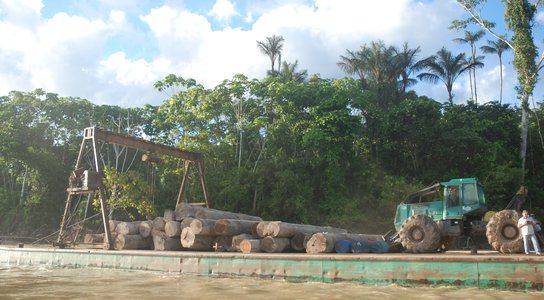 Logs along the Tamaya River