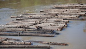 Timber on the River Tamaya3